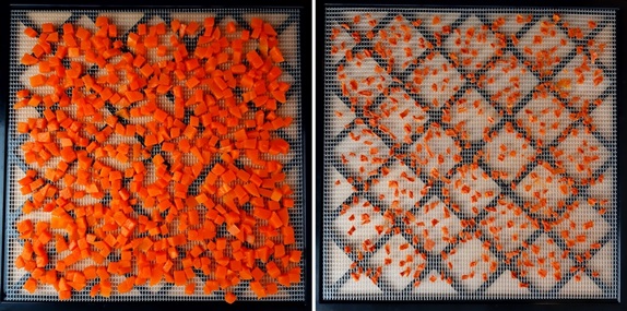 Photos show steamed pumpkin cubes before and after dehydrating.