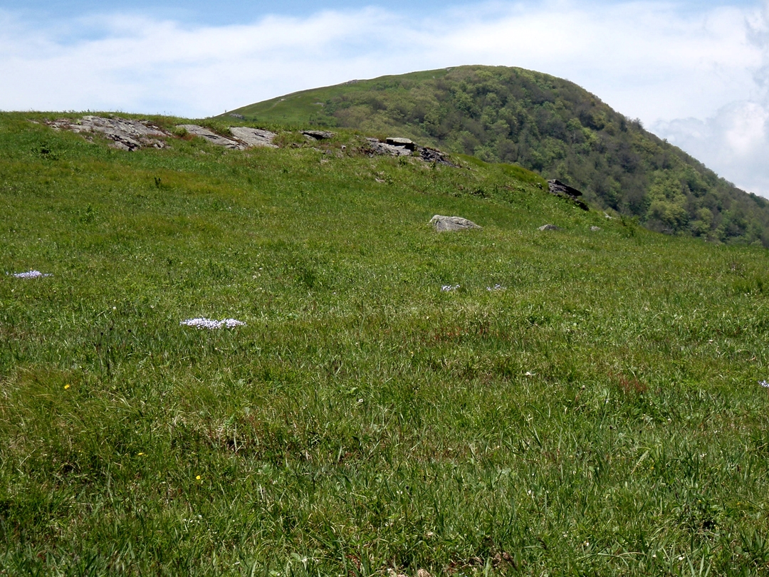 Almost to the top of Hump Mountain