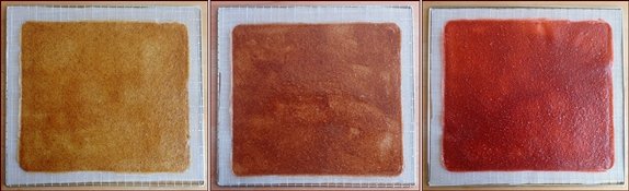 Kiwi fruit leather colors