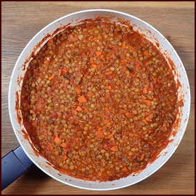 Bolognese sauce and lentils combined. Bolognese sauce and lentils combined.