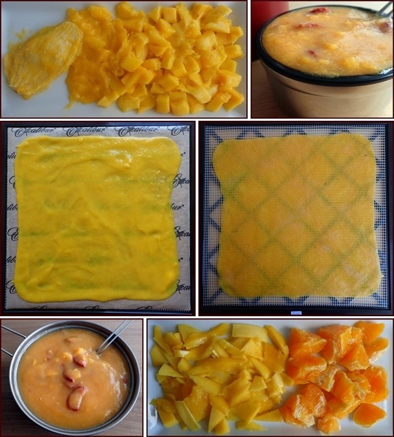 Guide to Dehydrating Mango Fruit Leather.