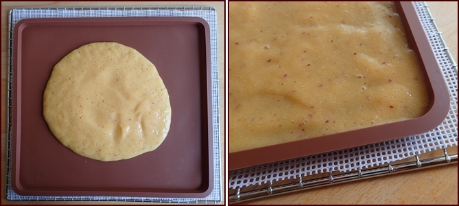 Nectarine-banana-fruit-leather.