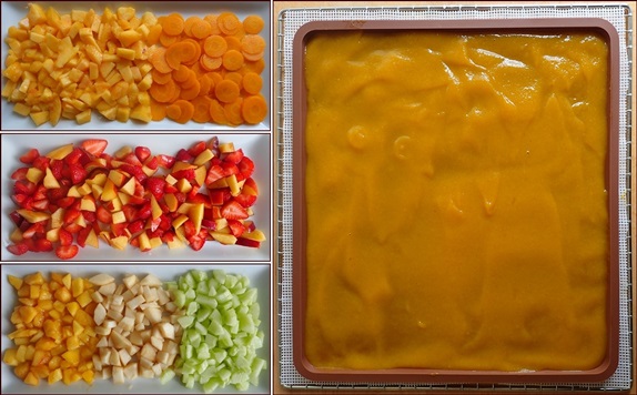 Nectarine Fruit Leather Combinations.