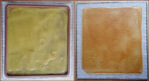Dehydrating nectarine fruit leather with pears and cucumbers.