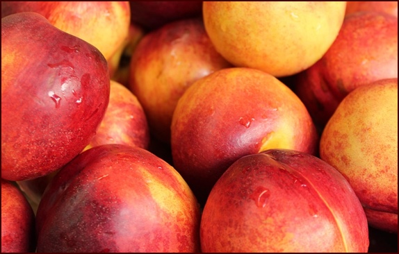 Ripe Nectarines.