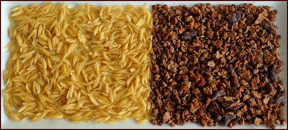 Dehydrated orzo and green lentil chili.
