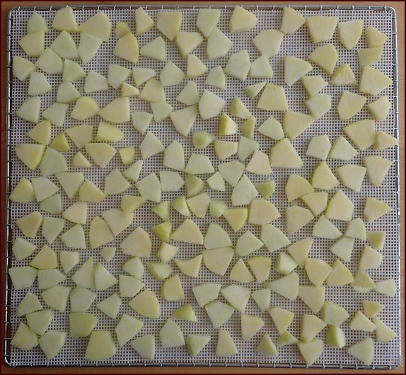 Sliced apples pretreated with a lemon juice and water solution.