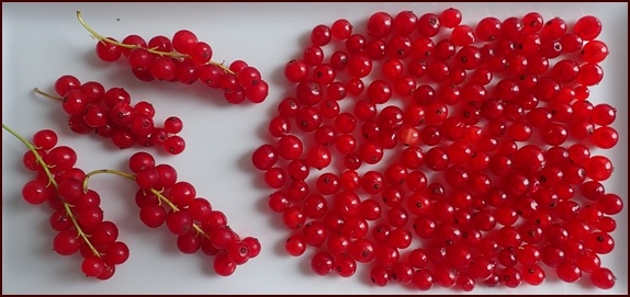 Red currents.