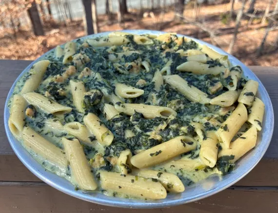 Rehydrated Chicken with Creamy Spinach Sauce.