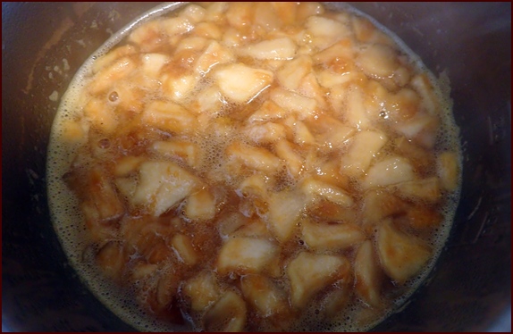 Dried apricots and apples rehydrated in a pot on the trail.