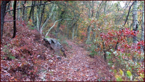 Appalachian Trail, Shenandoah National Park, Fall.