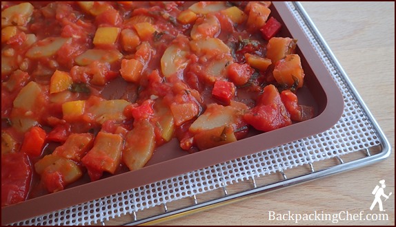Silicone tray for dehydrating soup.