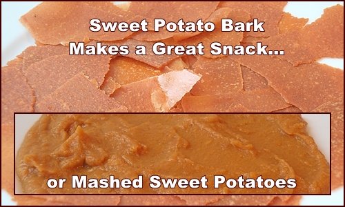 Sweet Potato Bark makes a great snack, and it can be turned into mashed sweet potatoes.