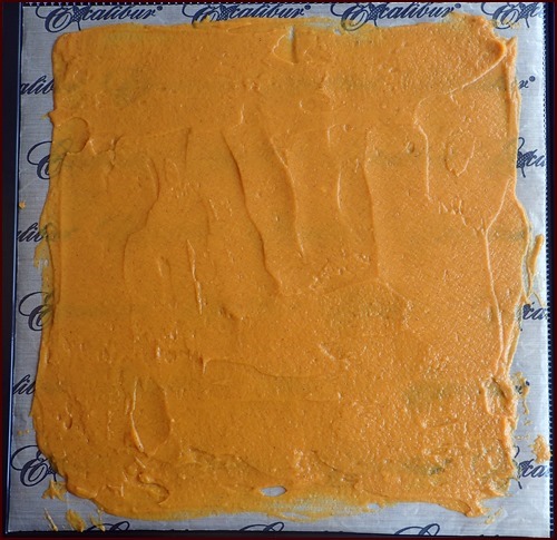 sweet potato pudding on Excalibur dehydrator tray.