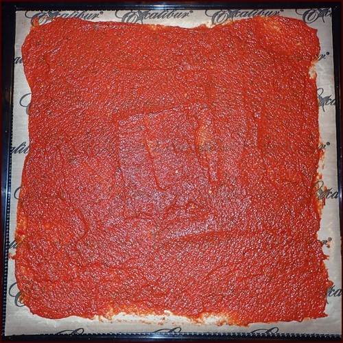 Tomato sauce on Excalibur dehydrator tray.