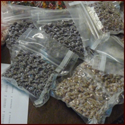 where can you buy vacuum seal bags