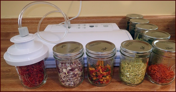 Storing dehydrated vegetables in jars with a wide-mouth jar sealer.